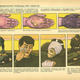 Illustration for article titled Weird Soviet Civil Defense Graphics from the Cold War May Disturb You